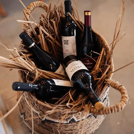 Homes Cyprus Mup Villa Orga