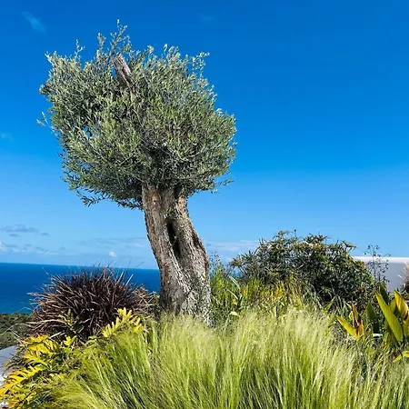 Homes Cyprus Mup فيلة *
