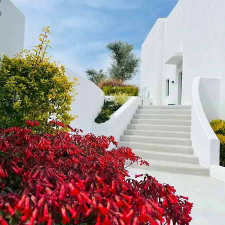 Homes Cyprus Mup فيلة Orga